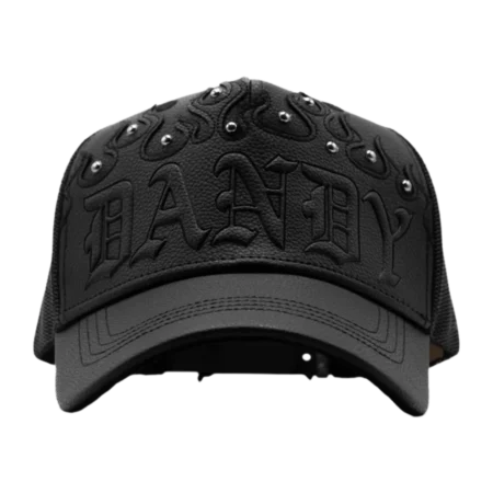 DANDY DID THIS – DANDY